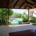 Garden * Kivérion